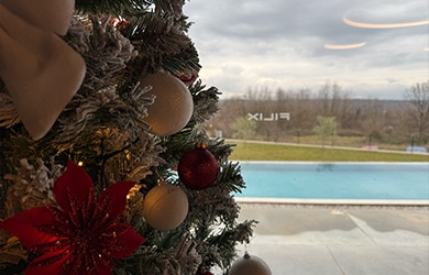 Happy holidays